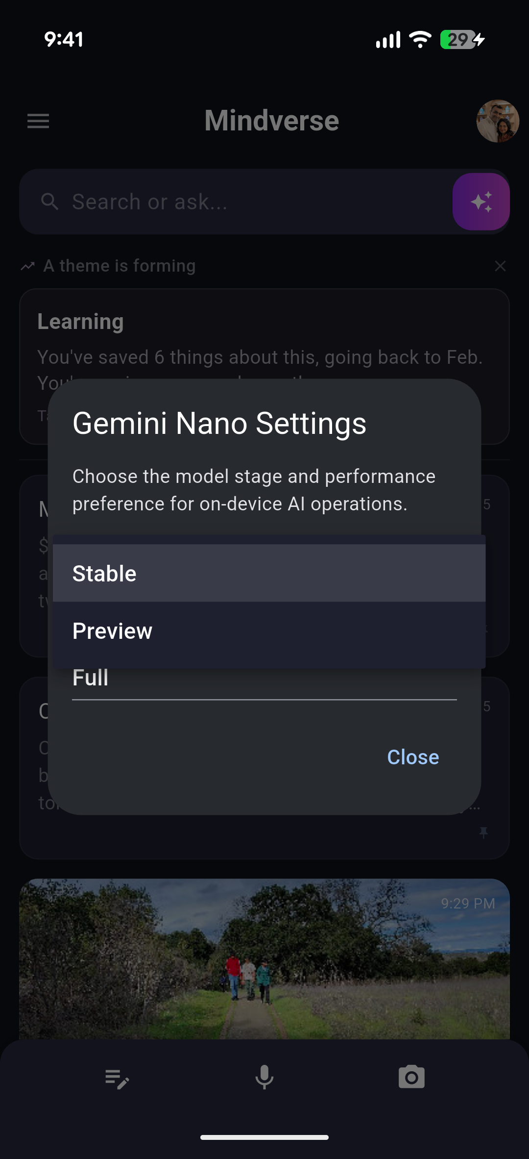 Gemini Nano model settings running on-device